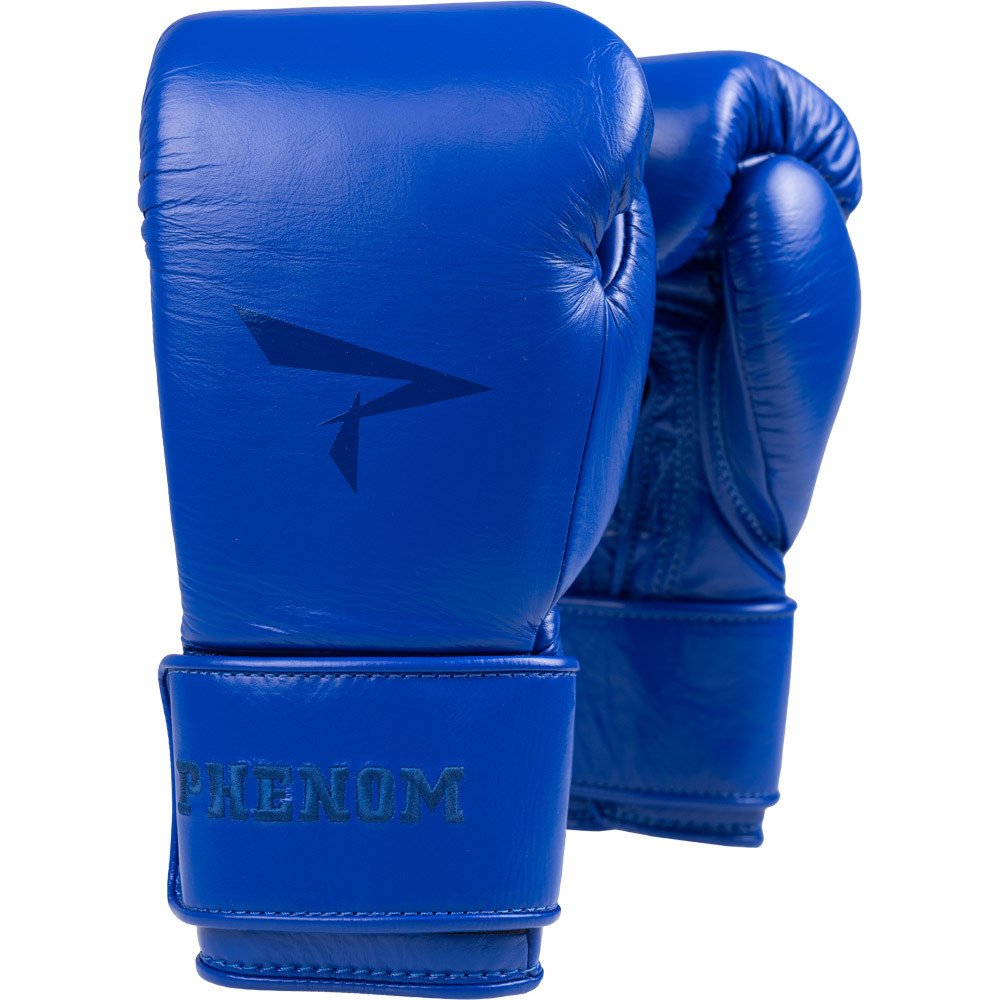 Phenom Boxing SG-210S Blue Sparring Kit at FightHQ