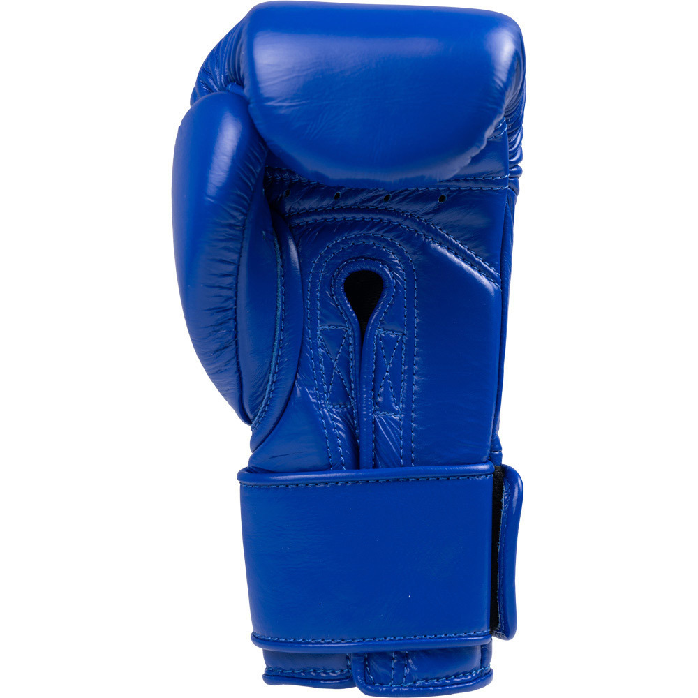 Phenom Boxing SG-210S Blue Sparring Kit at FightHQ
