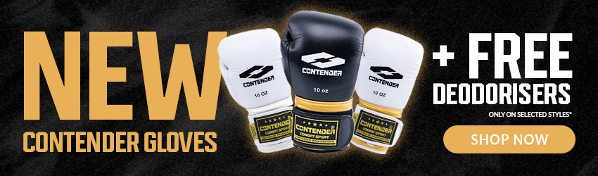 Boxing Gloves Image